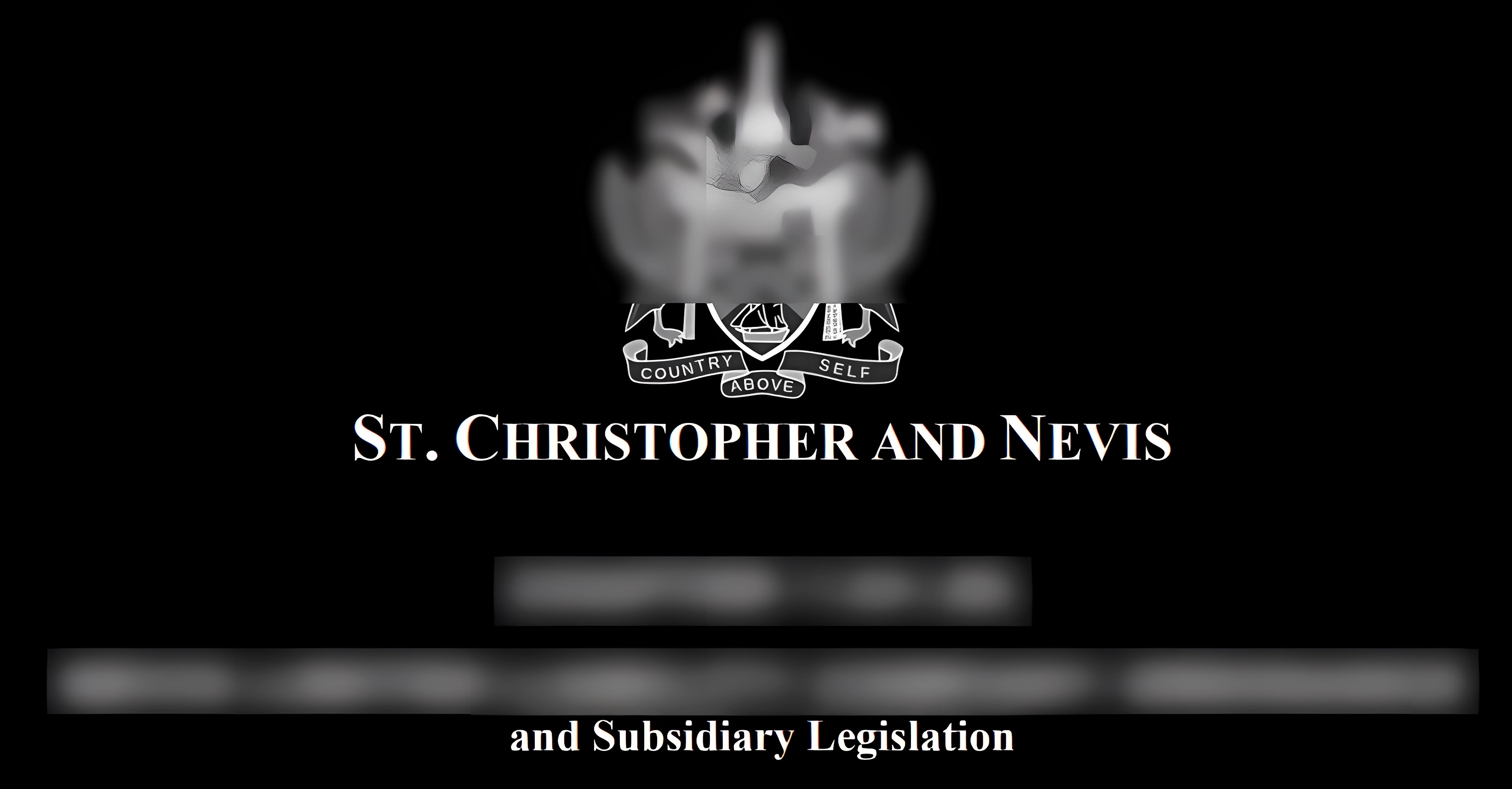 Preview Loi Nevis LLC⁩